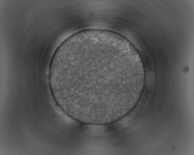 X0000092230856200710051217