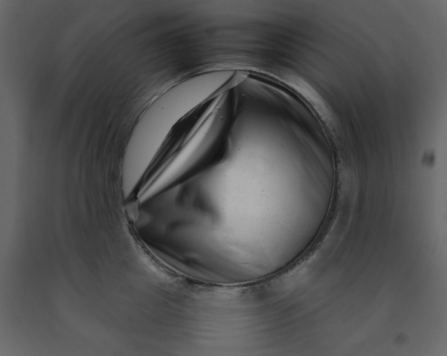 X0000092230857200710051217