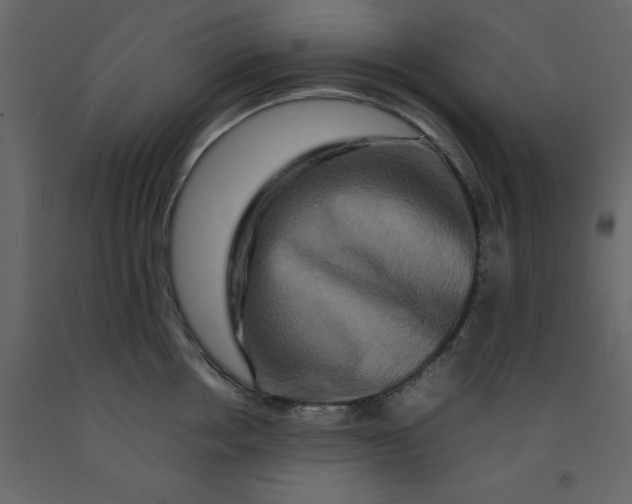 X0000092230858200710051217