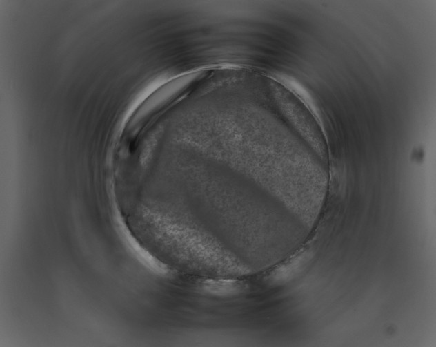 X0000092230859200710051217