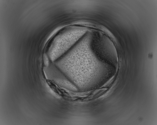 X0000092230860200710051217