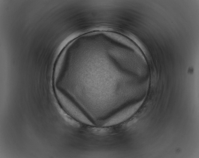 X0000092230861200710051217