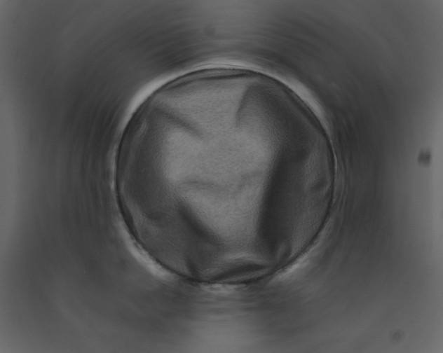 X0000092230862200710051217