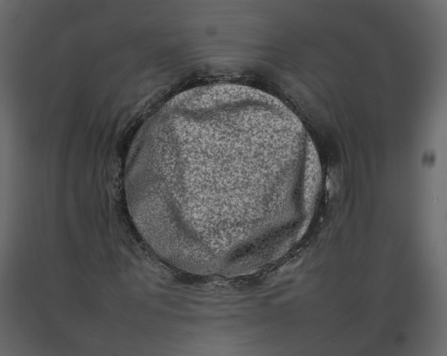 X0000092230867200710051217