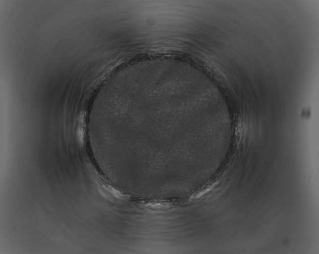 X0000092230868200710051217