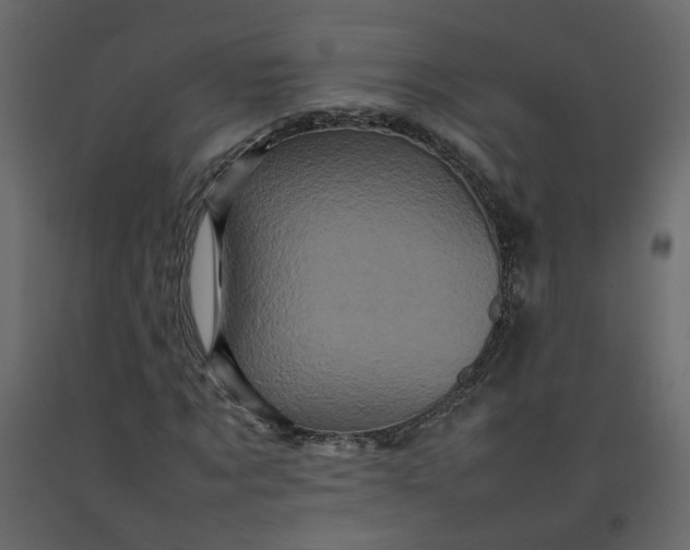 X0000092230869200710051217