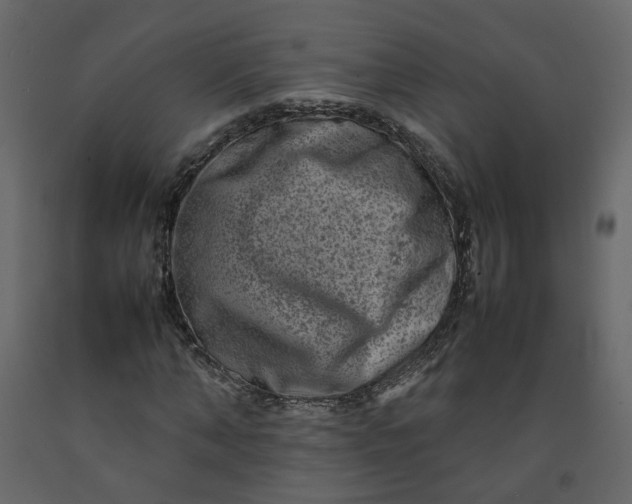 X0000092230870200710051217