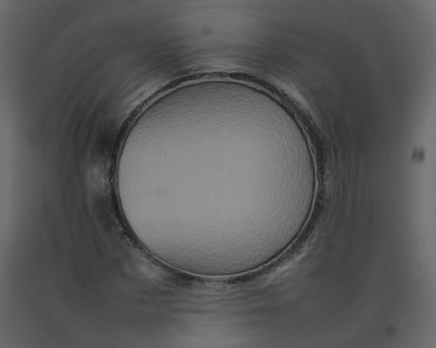 X0000092230873200710051217