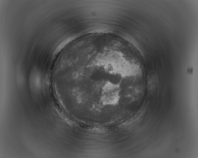 X0000092230874200710051217