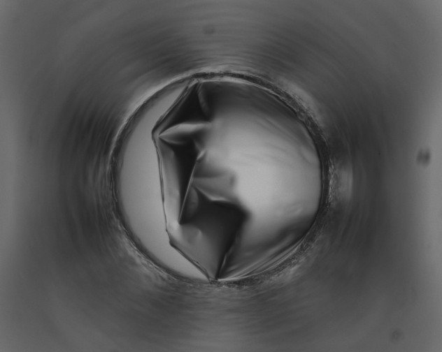 X0000092230876200710051217