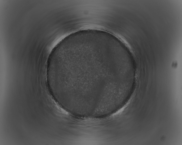 X0000092230877200710051217