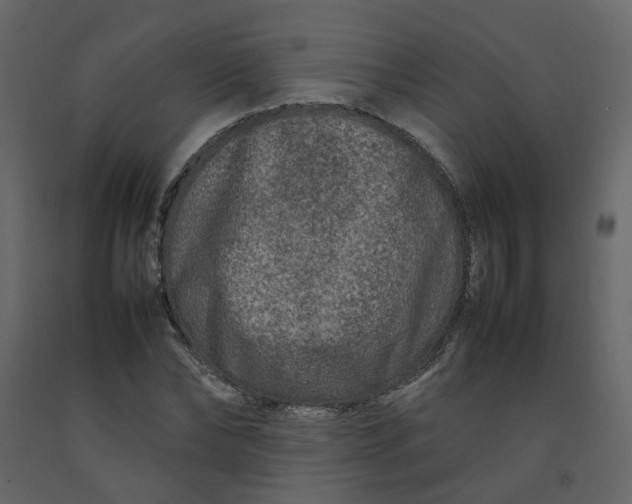 X0000092230878200710051217