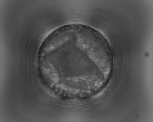 X0000092230879200710051217