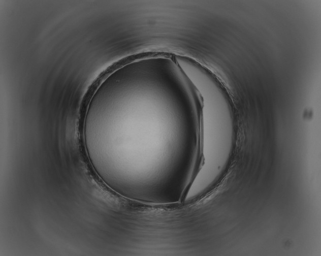 X0000092230880200710051217