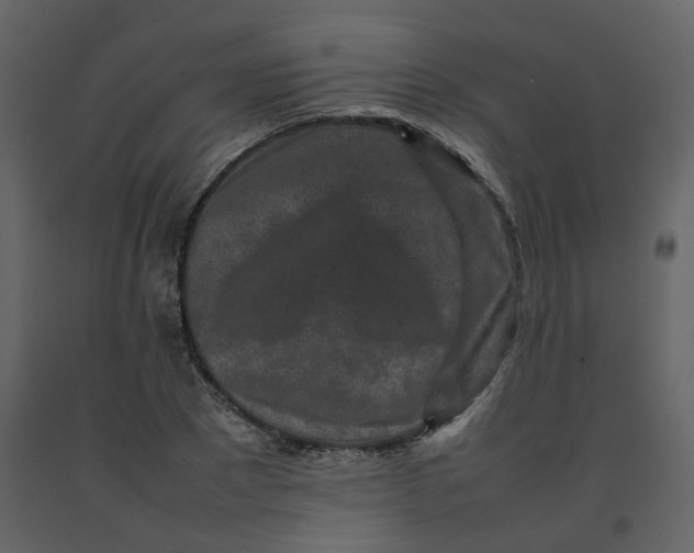 X0000092230881200710051217