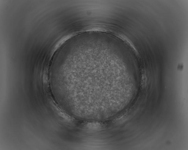 X0000092230882200710051217