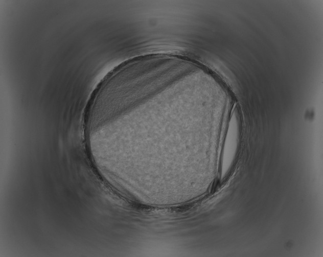 X0000092230883200710051216