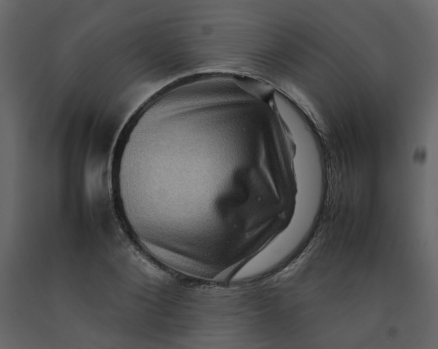 X0000092230884200710051216