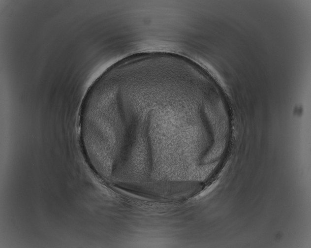 X0000092230885200710051216