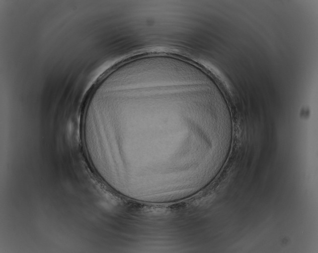 X0000092230886200710051216