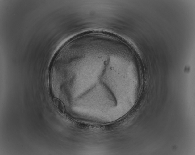 X0000092230887200710051216