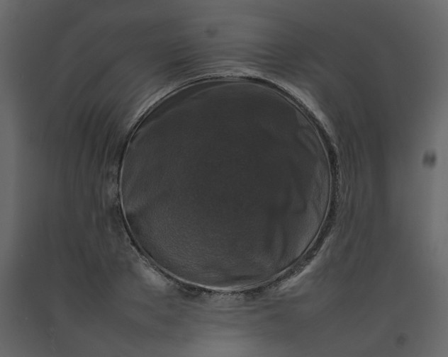 X0000092230889200710051216