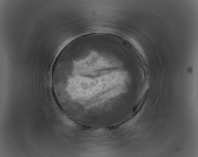 X0000092230891200710051216