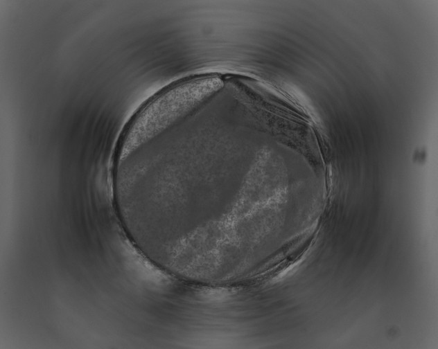 X0000092230892200710051216