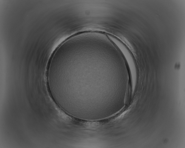 X0000092230893200710051216