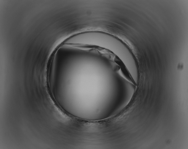 X0000092230894200710051216