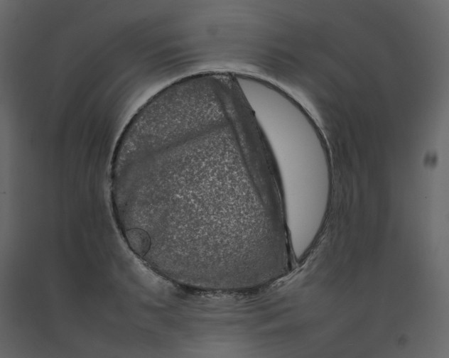 X0000092230895200710051216