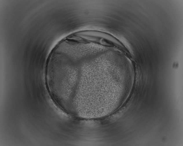 X0000092230896200710051216