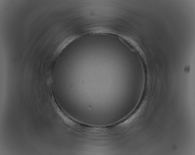 X0000092230897200710051216