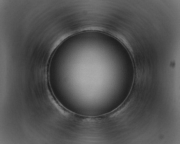 X0000092230898200710051216