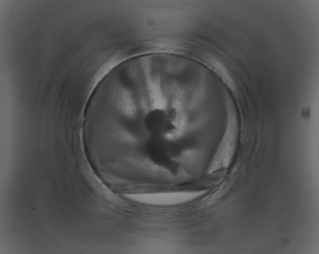 X0000092230899200710051216