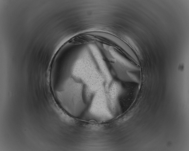 X0000092230900200710051216