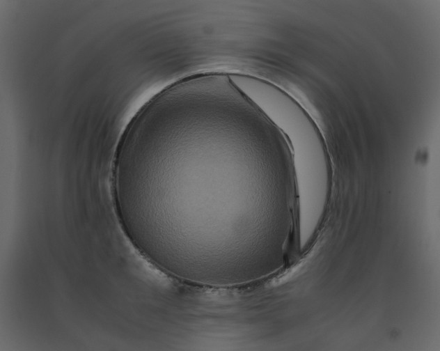 X0000092230901200710051216