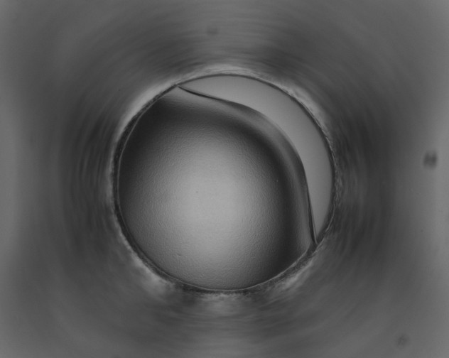 X0000092230902200710051216