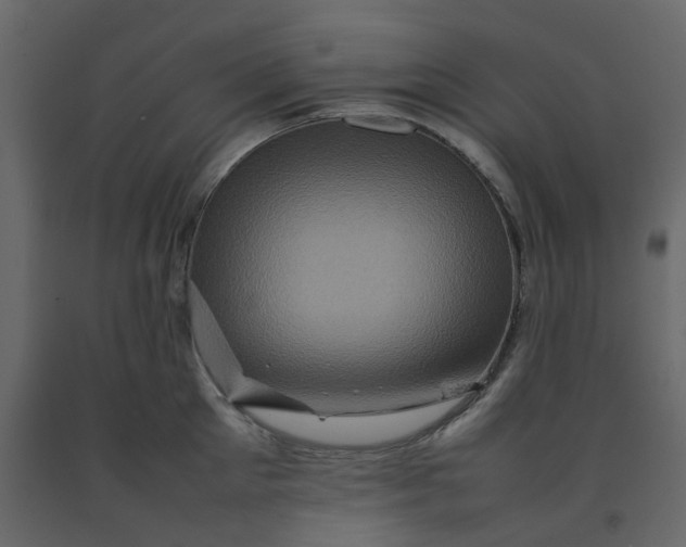 X0000092230905200710051216