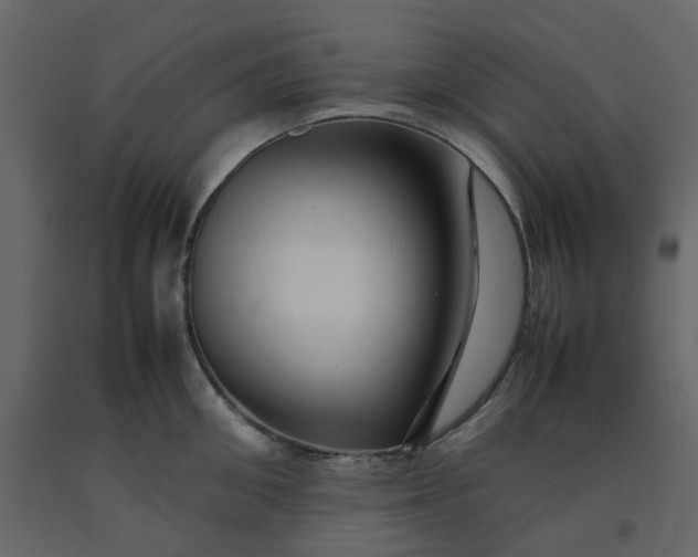 X0000092230906200710051216