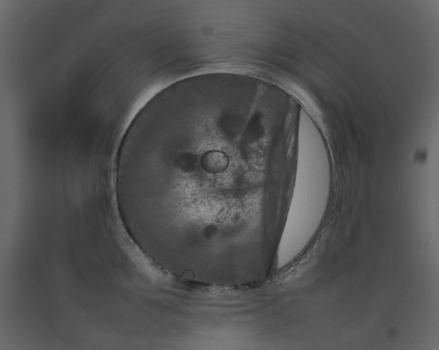 X0000092230907200710051216