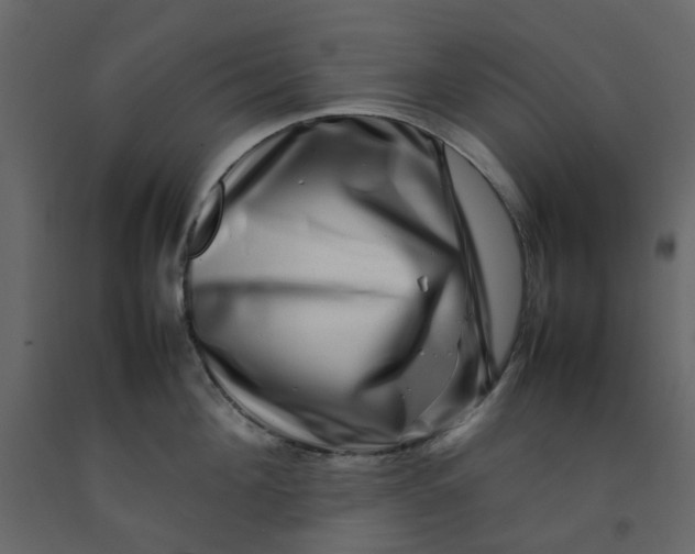 X0000092230908200710051216