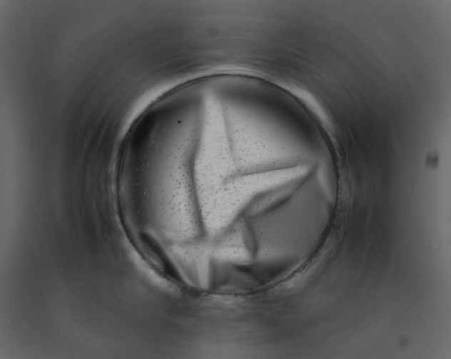 X0000092230910200710051216