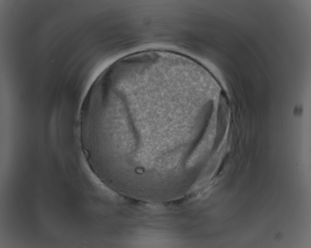 X0000092230911200710051216