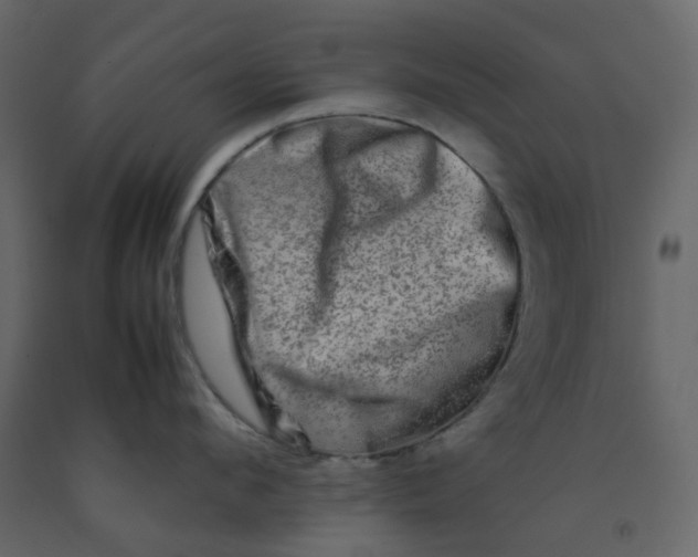 X0000092230912200710051216