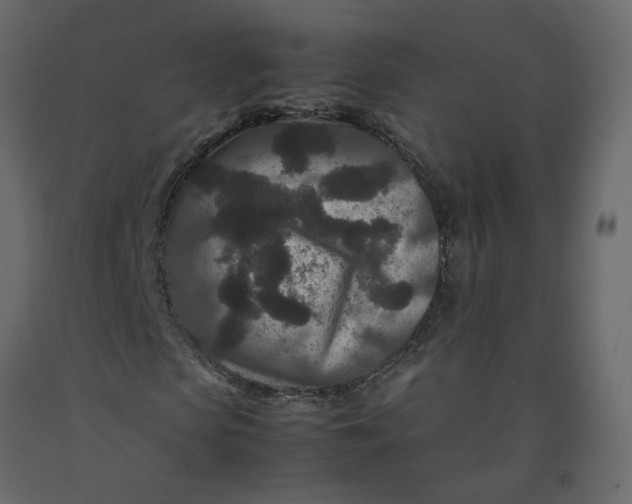 X0000092230913200710051216