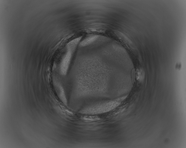 X0000092230915200710051216