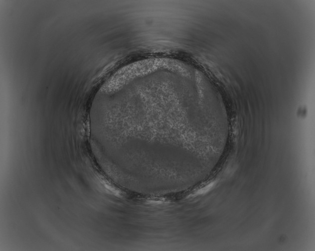 X0000092230916200710051216