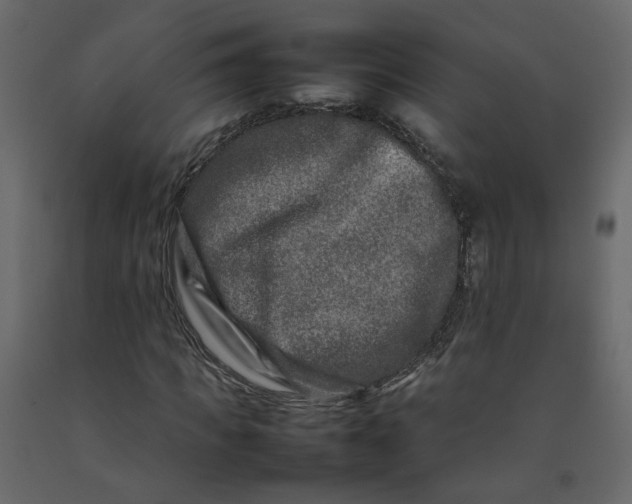 X0000092230917200710051216