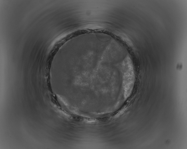 X0000092230920200710051216